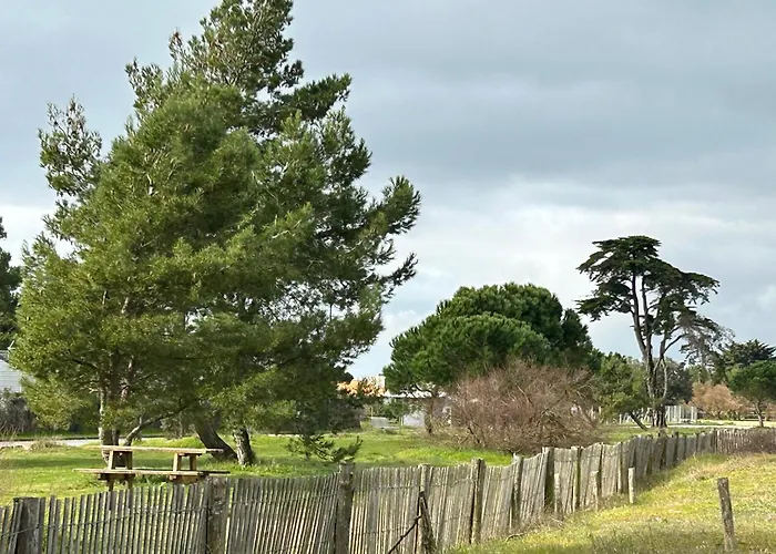 Mobil Bord De Le Port-des-Barques