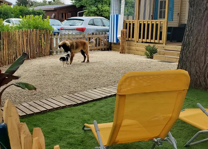 Mobil Bord De Campsite *